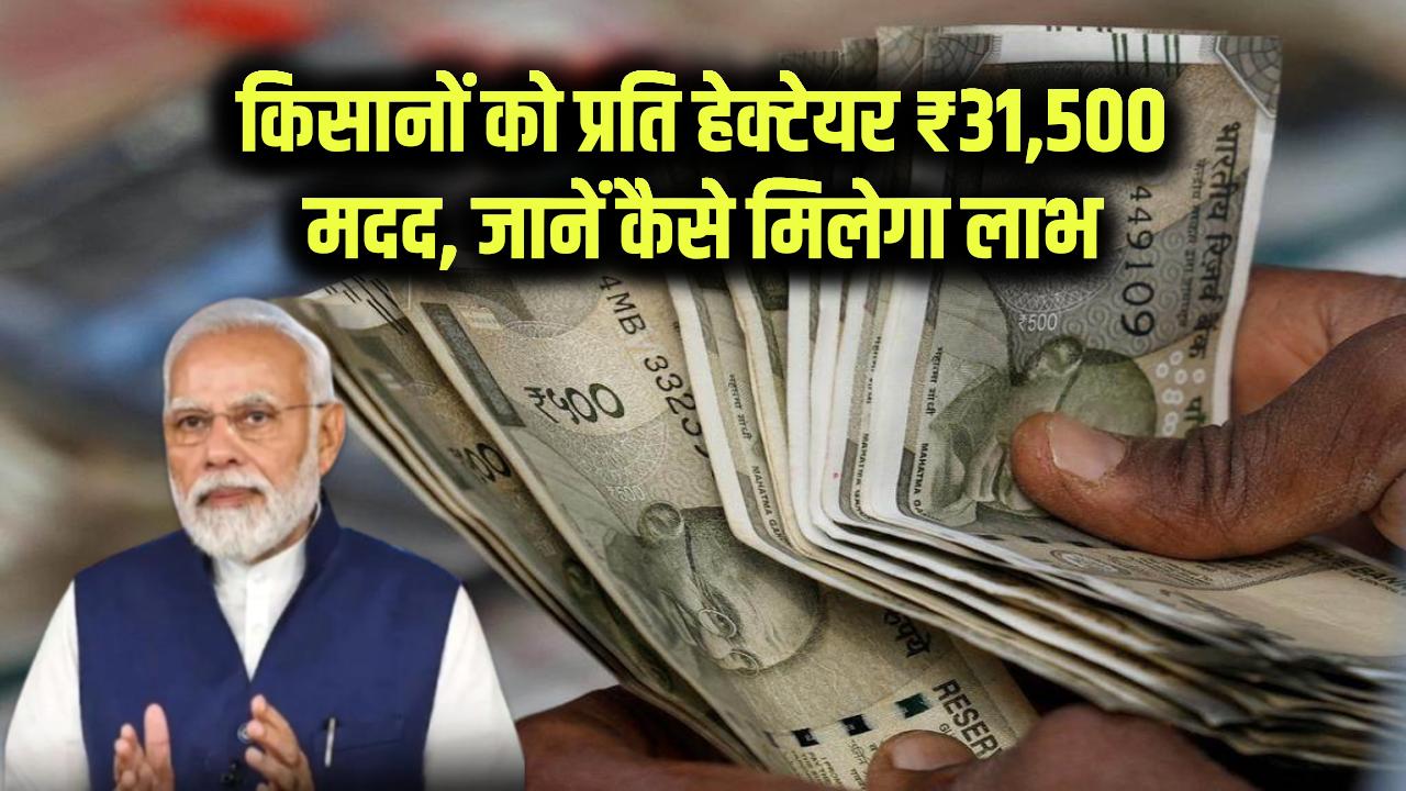 PM PKVY Yojana 2025: किसानों के लिए खुशखबरी! प्रति हेक्टेयर ₹31,500 की मदद, जानिए कैसे मिलेगा लाभ
